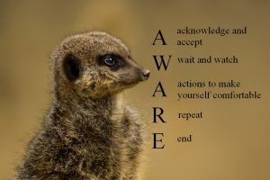 AWAREtext